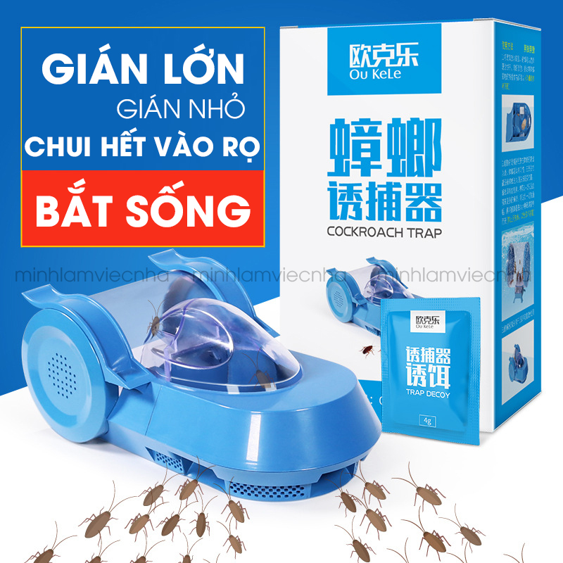 Bẫy gián cửa sập không sử dụng hoá chất thế hệ mới , Bản mới 2024 + Tặng 3 gói mồi