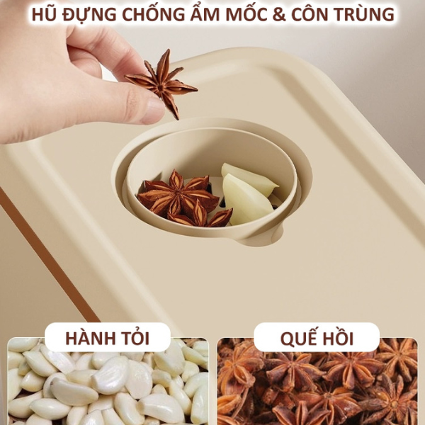 Thùng đa năng đựng gạo, hạt tiện lợi, bền đẹp sức chứa lớn, Loại 5kg