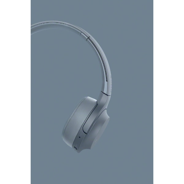 Tai nghe headphone trùm tai WH 800AP