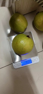 Trịnh Thành