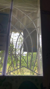 Bùi Khánh Lệ