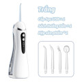 Máy tăm nước không dây dung tích 220ml kèm 4 đầu phun, dây sạc, Màu đen
