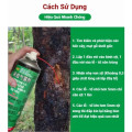Bình xịt diệt ấu trùng sâu đục thân, giúp cây phát triển xanh tốt