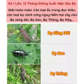 Bình xịt diệt ấu trùng sâu đục thân, giúp cây phát triển xanh tốt
