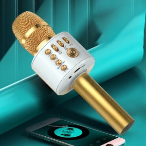 Mic hát karaoke kèm loa bluetooth WS-858 đa năng