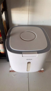 Trần Nguyệt Viên