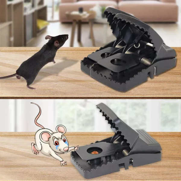Bộ 2 bẫy chuột dạng kẹp trong nhà ngoài trời thông minh