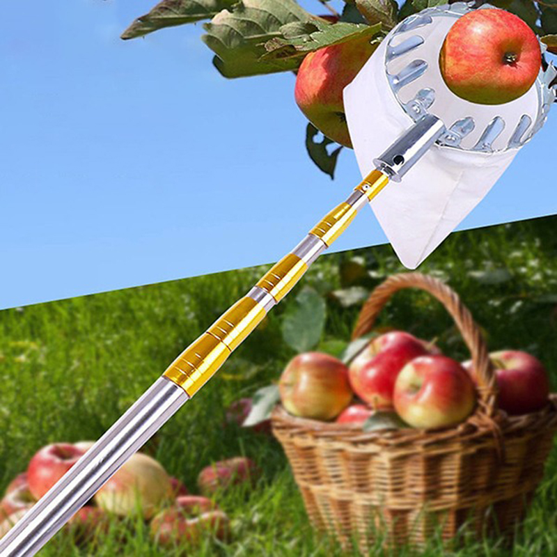 Dụng cụ hái trái cây trên cao kèm vợt rút gọn siêu tiện lợi