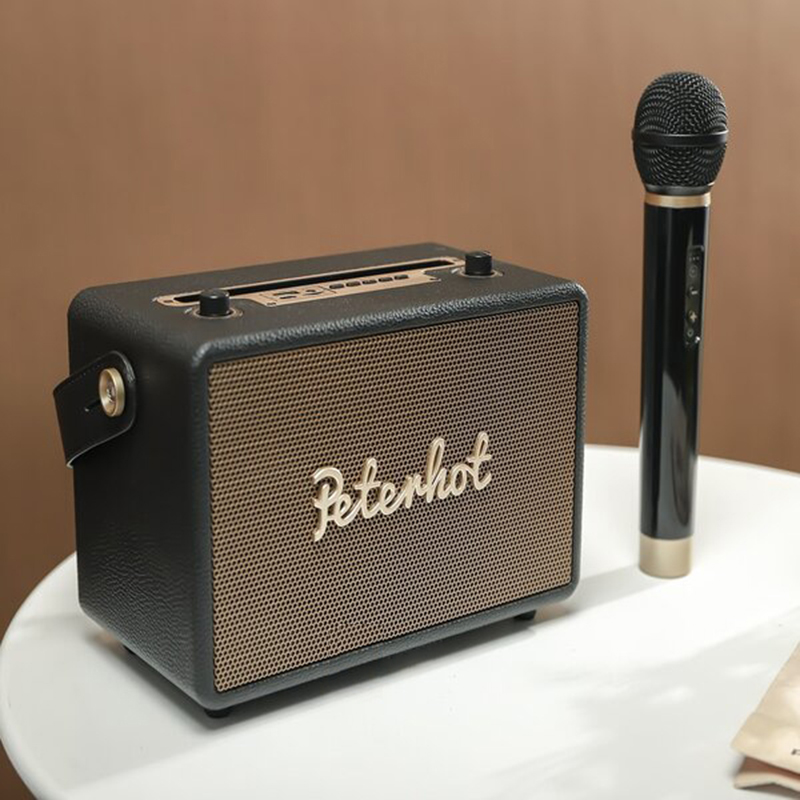 Loa karaoke bluetooth Peterhot A106 - kèm Micro không dây tiện lợi